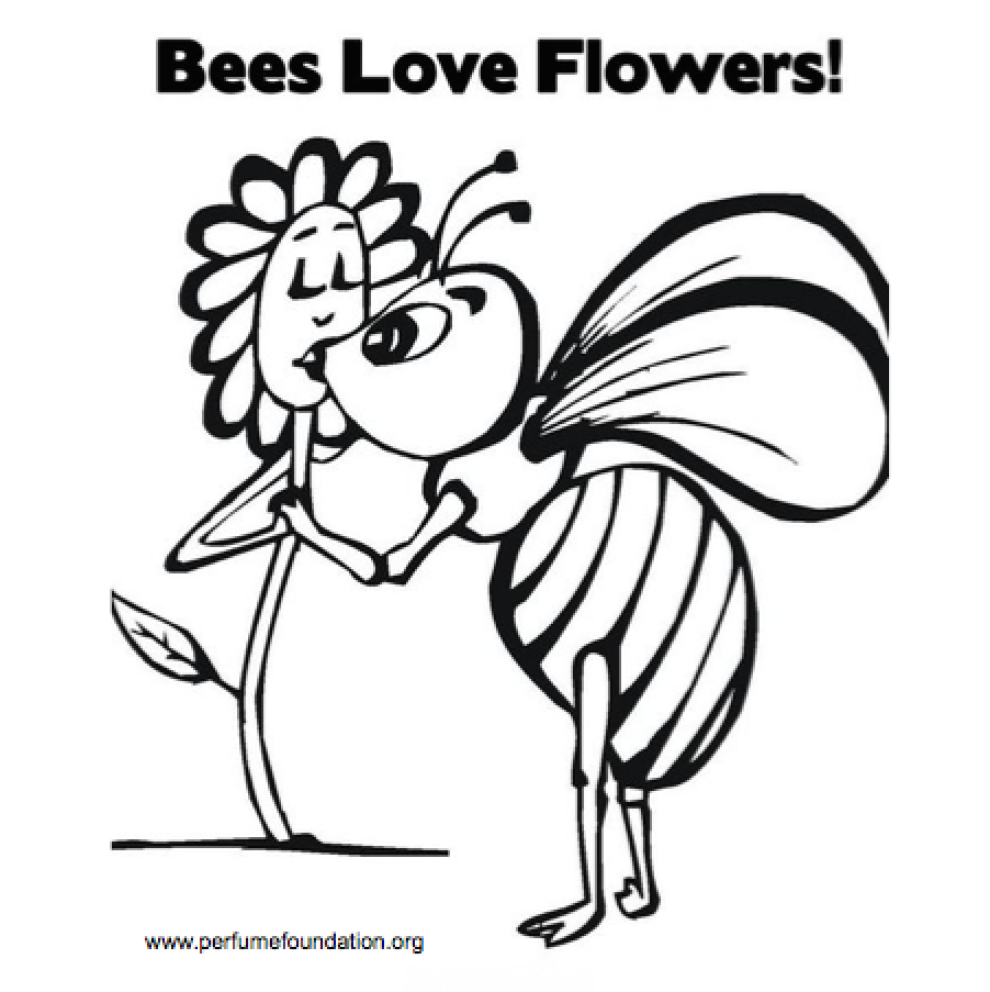 Bees love flowers, ask natural perfumes