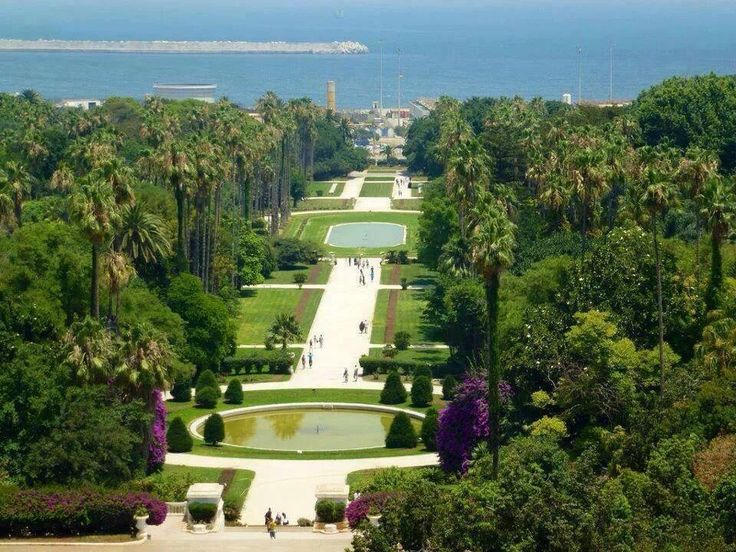 Algiers, Jardin du Hamma