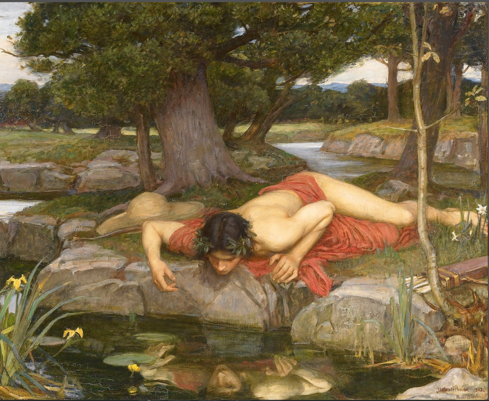 Narcissus and Essences 
