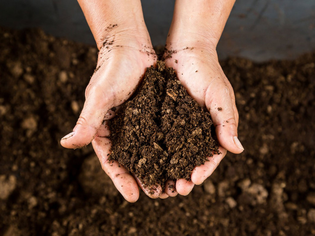 Soil is the Foundation of Life